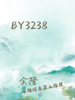 BY3238