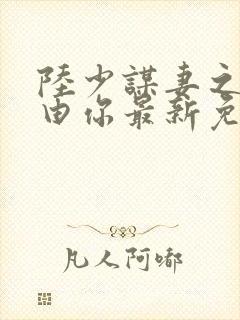 陆少谋妻之婚不由你最新免费阅读