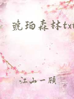 琥珀森林txt