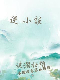 逆 小说