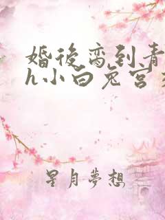 婚后脔到青梅哭h小白兔宫交h