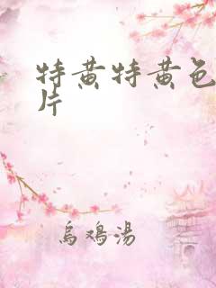 特黄特黄色一级片