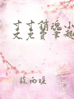 寸寸销魂小说全文免费笔趣阁