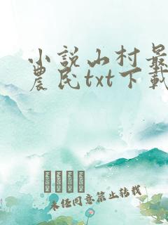 小说山村最强小农民txt下载