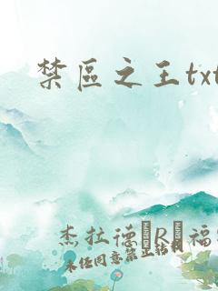 禁区之王txt