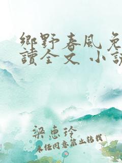 乡野春风免费阅读全文 小说