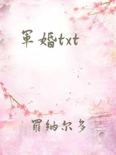 军婚txt