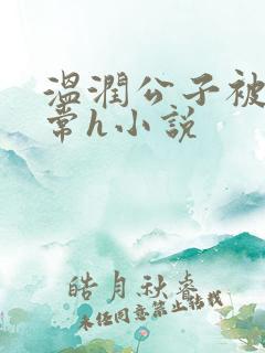 温润公子被脔日常h小说