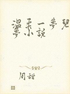 温柔一梦儿媳林梦小说