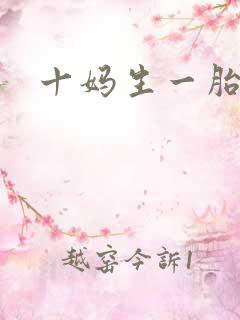十妈生一胎