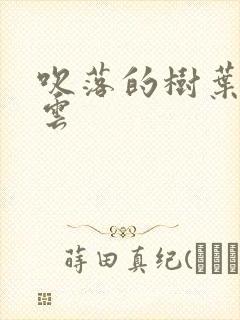 吹落的树叶百度云