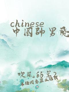 chinese中国帅男飞机
