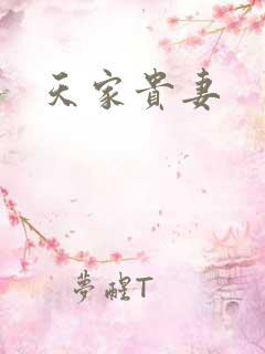 天家贵妻
