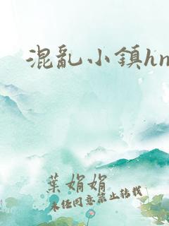混乱小镇hnp