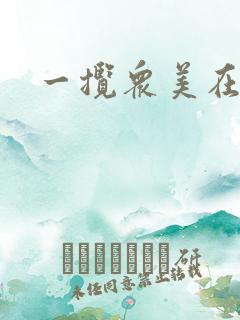 一揽众美在三国