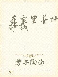 在家里养什么能挣钱