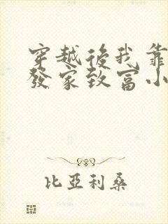 穿越后我靠种田发家致富小说