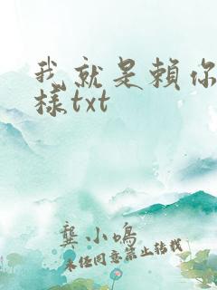 我就是赖你 怎样txt