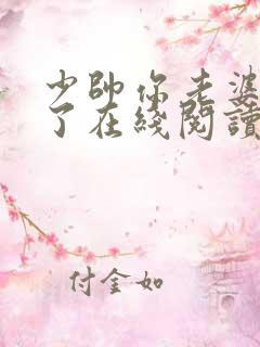少帅你老婆又跑了在线阅读