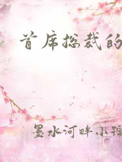 首席总裁的逃妻