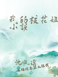 我的校花姐姐 小说