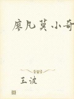 廖凡莫小奇