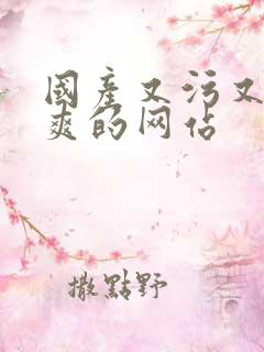 国产又污又色又爽的网站