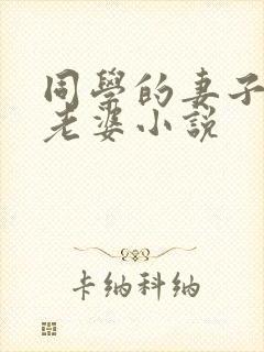 同学的妻子成我老婆小说