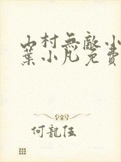 山村无敌小医仙叶小凡免费阅读
