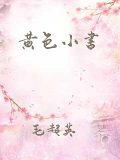 黄色小书