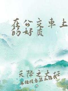 在公交车上被插的好爽
