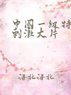 中国一级特黄特刺激大片