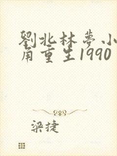 刘北林梦小说主角重生1990