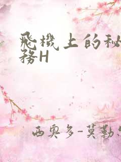 飞机上的秘密服务H