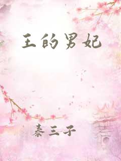 王的男妃