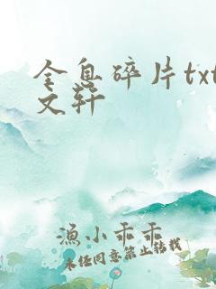 全息碎片txt文轩