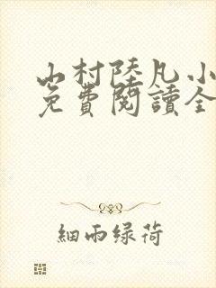山村陆凡小神医免费阅读全文