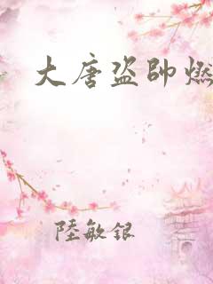 大唐盗帅燃文