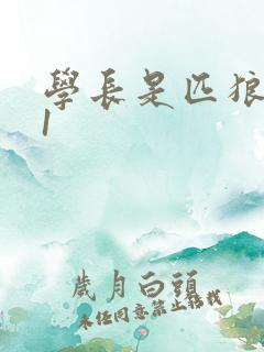学长是匹狼1v1