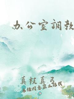 办公室调教