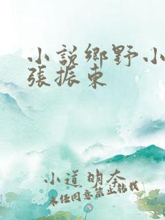 小说乡野小神医张振东