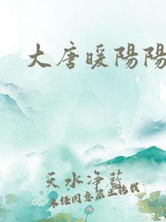 大唐暖阳阳
