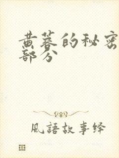 黄蓉的秘密35部分