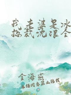 我老婆是冰山女总裁沈浪全集