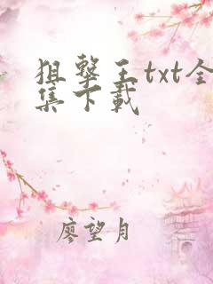 狙击王txt全集下载