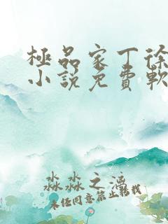 极品家丁徐芷晴小说免费软件