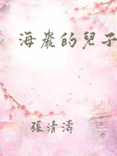 海岩的儿子