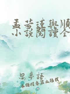孟若瑾与顺妃的小说阅读全文