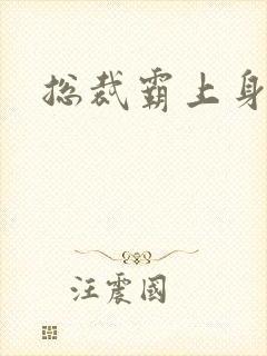 总裁霸上身
