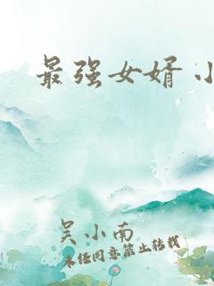 最强女婿 小说